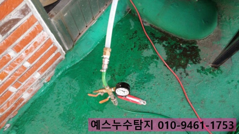 갤러리 사진